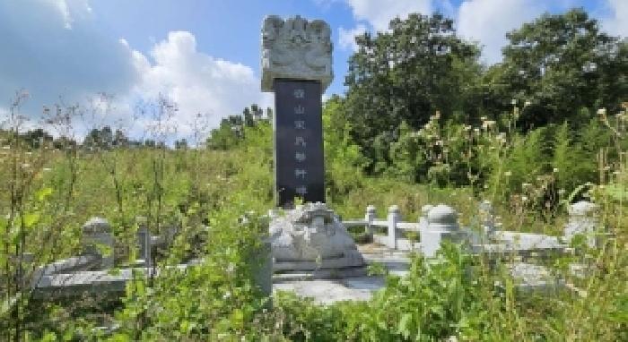 충남 금산군 금성면 전 경매 물건 사진 4 · 2025타경503154