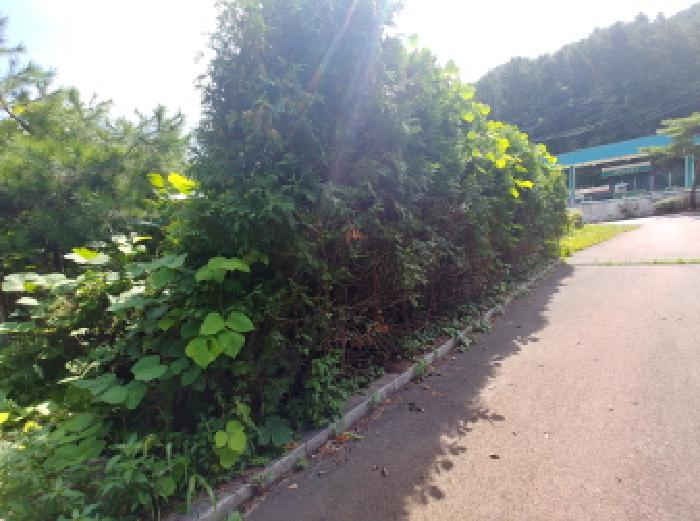 충남 금산군 진산면 숙박시설 경매 물건 사진 6 · 2025타경503250