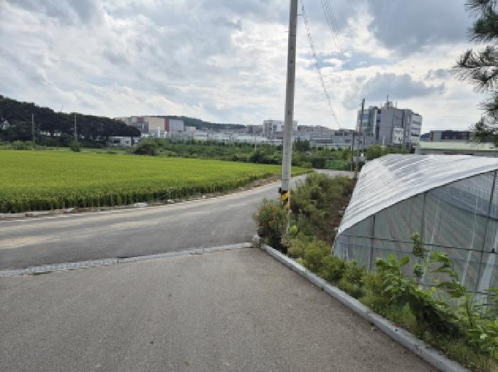 세종 연동면 대지 경매 물건 사진