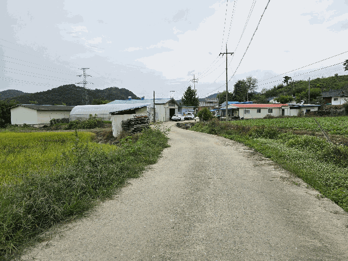 세종 연서면 답 경매 물건 사진 4 · 2025타경503398