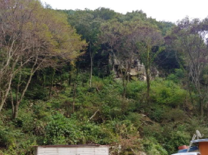 충남 금산군 진산면 답 경매 물건 사진 2 · 2025타경503409