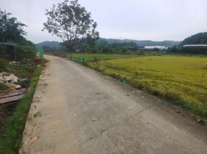 충남 금산군 제원면 답 경매 물건 사진