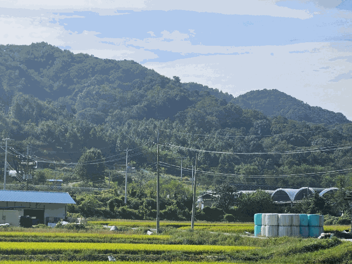 세종 연서면 임야 경매 물건 사진 5 · 2025타경503458