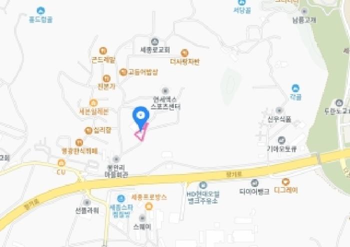 세종 장군면 대지 경매 물건 사진 6 · 2025타경503480