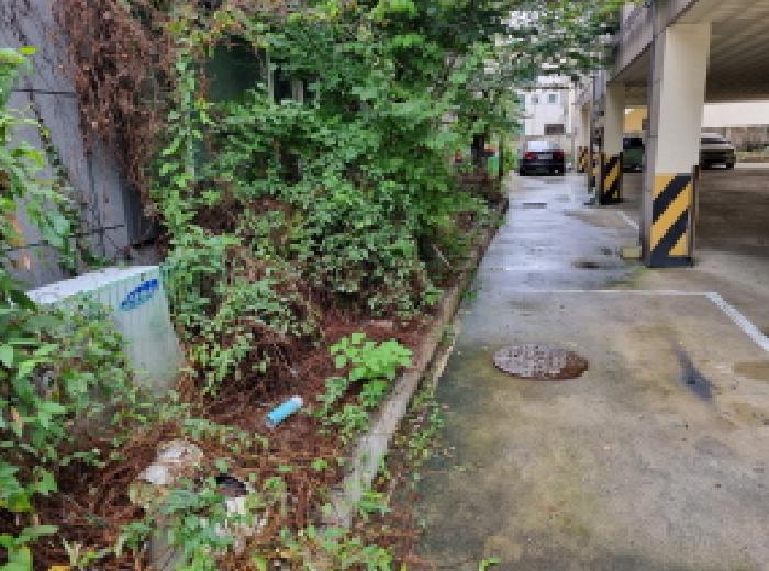대전 서구 용문동 주/상용건물 경매 물건 사진 5 · 2025타경503545