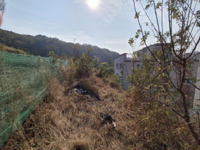 세종 금남면 대지,임야,전답 경매 물건 사진 2 · 2025타경503621