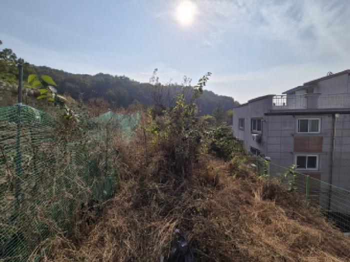 세종 금남면 대지,임야,전답 경매 물건 사진 3 · 2025타경503621