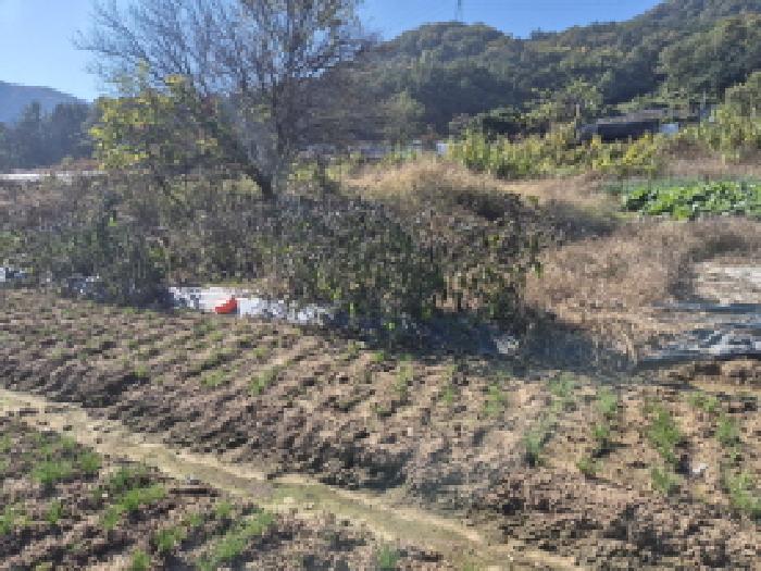대전 유성구 계산동 전 경매 물건 사진 2 · 2025타경503624
