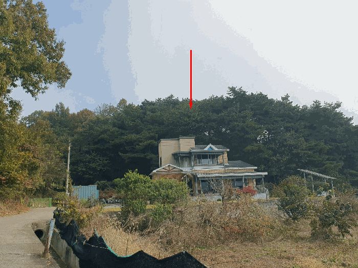 충청남도 금산군 금성면 상가리 산6-1 임야 경매 물건 사진