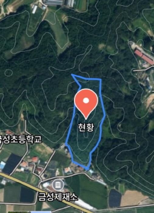 충남 금산군 금성면 임야 경매 물건 사진 3 · 2025타경503652