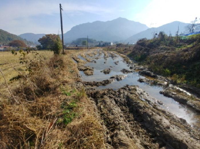 충남 금산군 추부면 답 경매 물건 사진