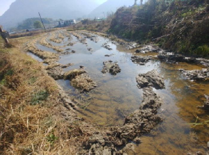 충남 금산군 추부면 답 경매 물건 사진 2 · 2025타경503706