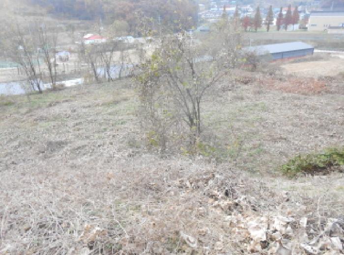 세종 전동면 공장/지식산업센터 경매 물건 사진 3 · 2025타경503735