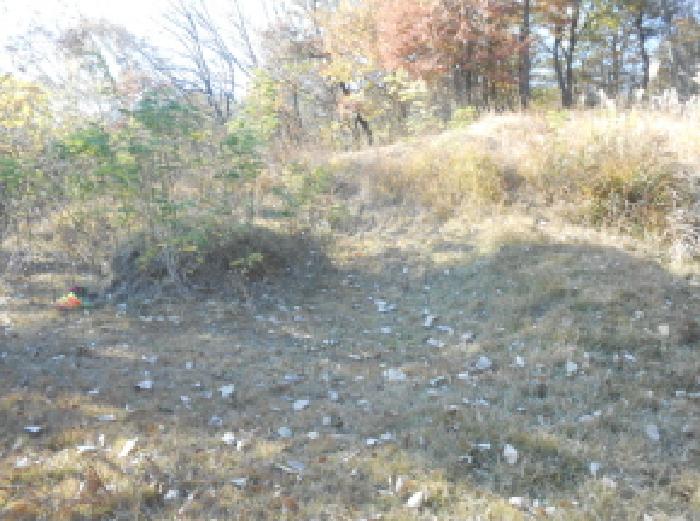 세종 연서면 답 경매 물건 사진 3 · 2025타경503754