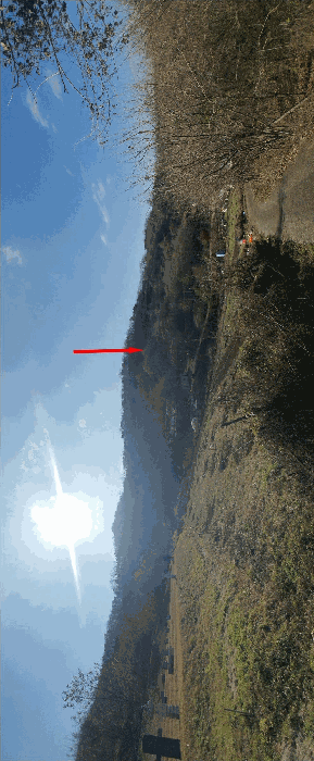 충청남도 금산군 추부면 추정리 산19-4 전 경매 물건 사진