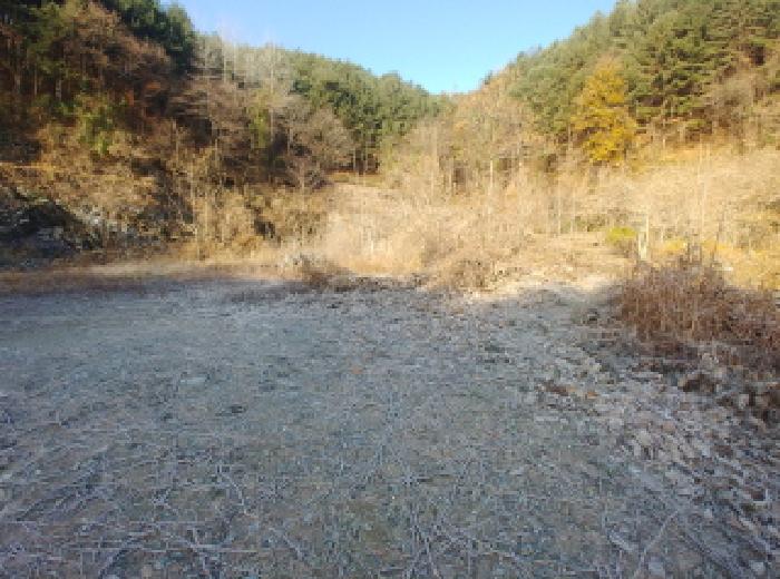 충남 금산군 진산면 전 경매 물건 사진 5 · 2025타경503797