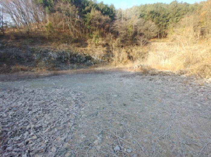 충남 금산군 진산면 전 경매 물건 사진 6 · 2025타경503797