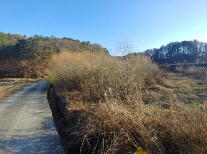 충남 금산군 남이면 답 경매 물건 사진 6 · 2025타경503801