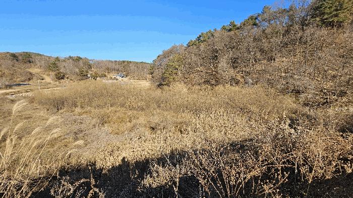 충남 금산군 남이면 답 경매 물건 사진 3 · 2025타경503801