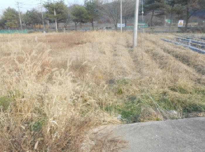세종 전의면 전 경매 물건 사진