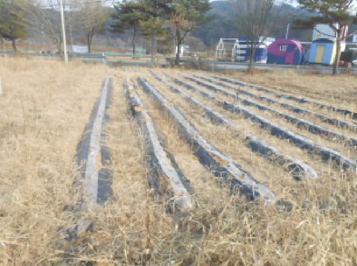 세종 전의면 전 경매 물건 사진 2 · 2025타경503809