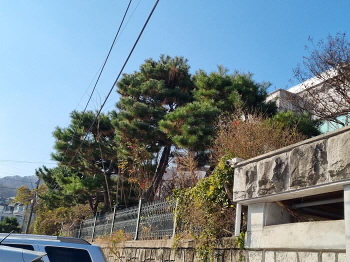 대전 중구 석교동 단독주택 경매 물건 사진 4 · 2025타경503859