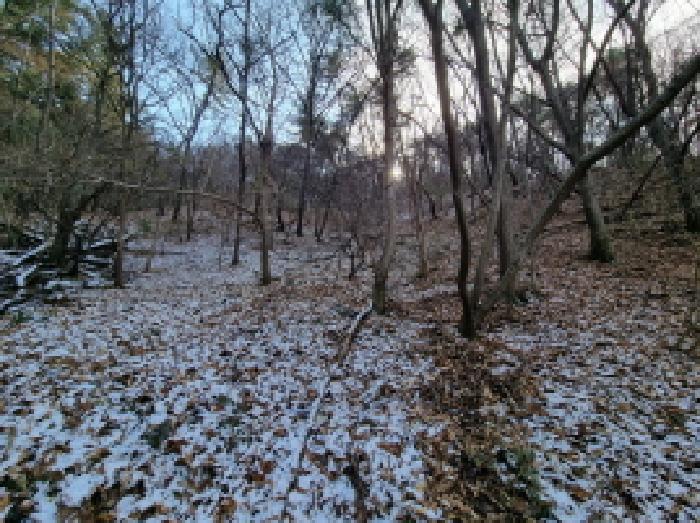 대전 동구 삼괴동 임야 경매 물건 사진 6 · 2025타경503864