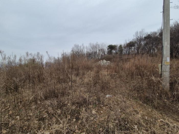 세종 장군면 임야 경매 물건 사진 4 · 2025타경503899