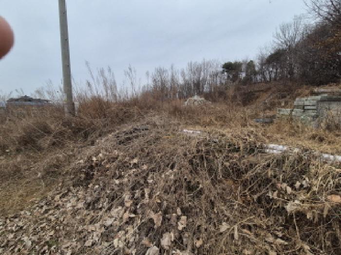 세종 장군면 임야 경매 물건 사진 5 · 2025타경503899