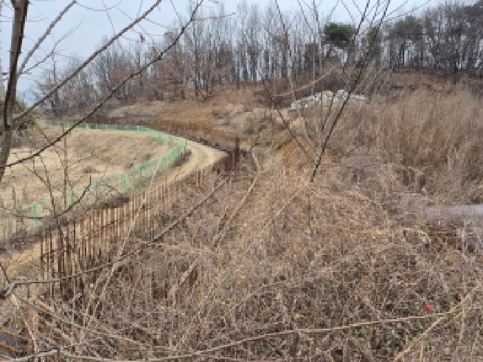 세종 장군면 임야 경매 물건 사진 6 · 2025타경503899