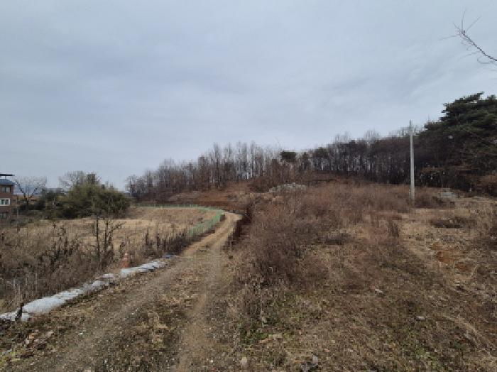 세종 장군면 임야 경매 물건 사진