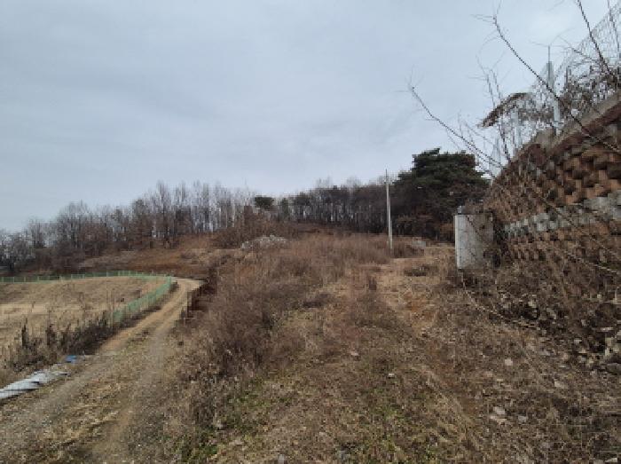 세종 장군면 임야 경매 물건 사진 2 · 2025타경503899