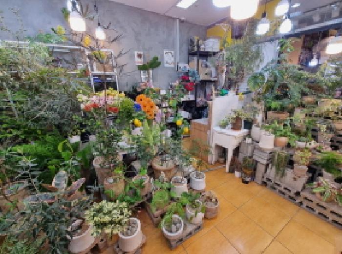 대전 서구 둔산동 상가,오피스텔,근린시설 경매 물건 사진 5 · 2025타경503941