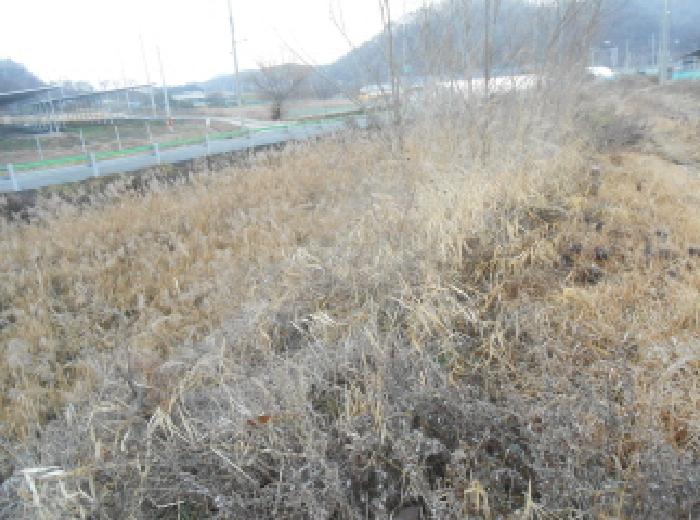 세종 전의면 답 경매 물건 사진 4 · 2025타경503948