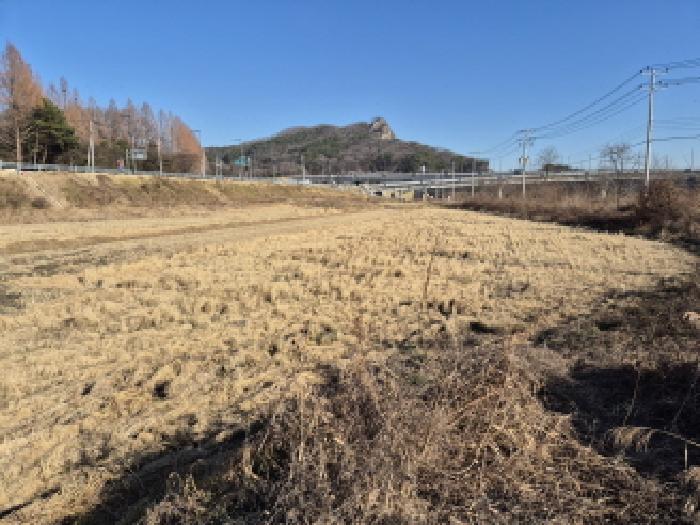 대전 유성구 방동 답 경매 물건 사진 2 · 2025타경503961