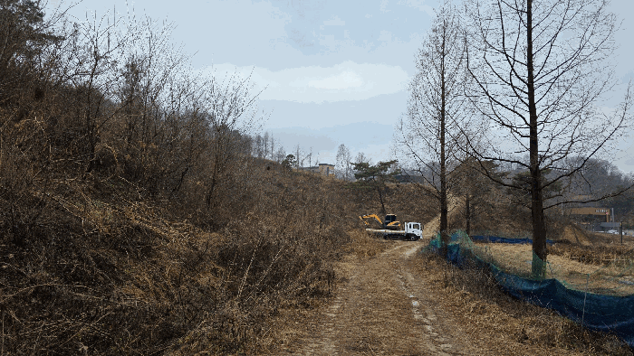 세종 연기면 임야 경매 물건 사진 3 · 2025타경504056