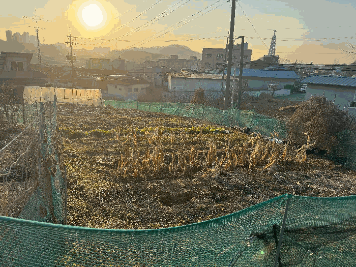 세종 연기면 전답 경매 물건 사진 5 · 2025타경504057