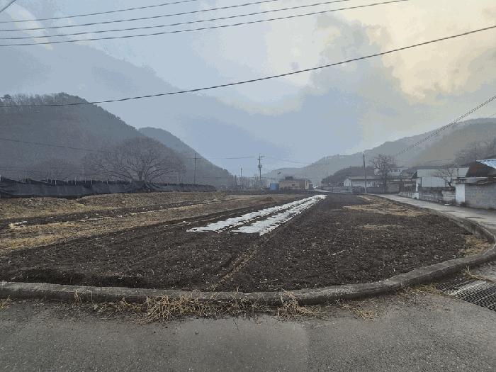 충남 금산군 진산면 단독주택 경매 물건 사진 3 · 2025타경504058