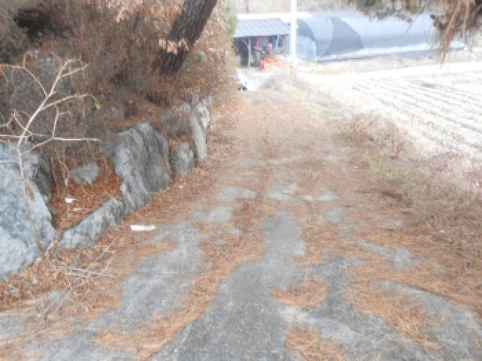 세종 연기면 단독주택다가구 경매 물건 사진