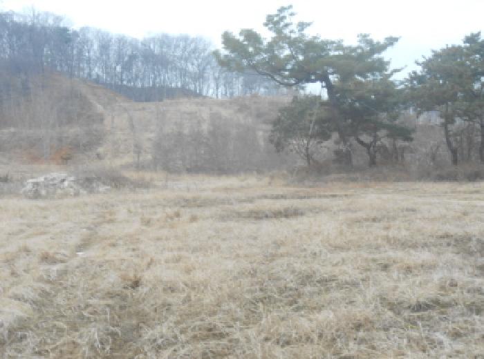세종 연기면 전답 경매 물건 사진 5 · 2025타경504067