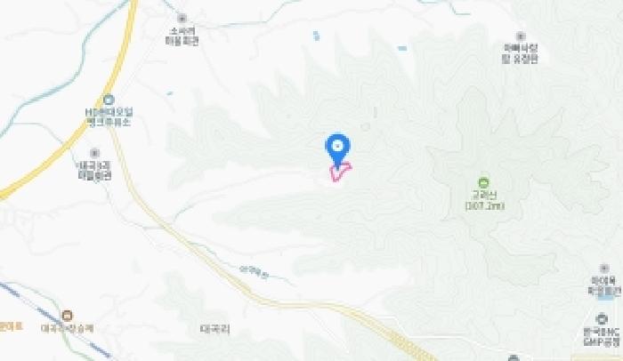 세종 소정면 대지,임야,전답 경매 물건 사진 3 · 2025타경504103