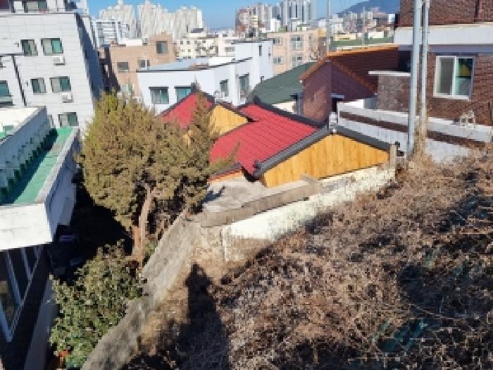 대전 중구 대사동 단독주택 경매 물건 사진 5 · 2025타경504170