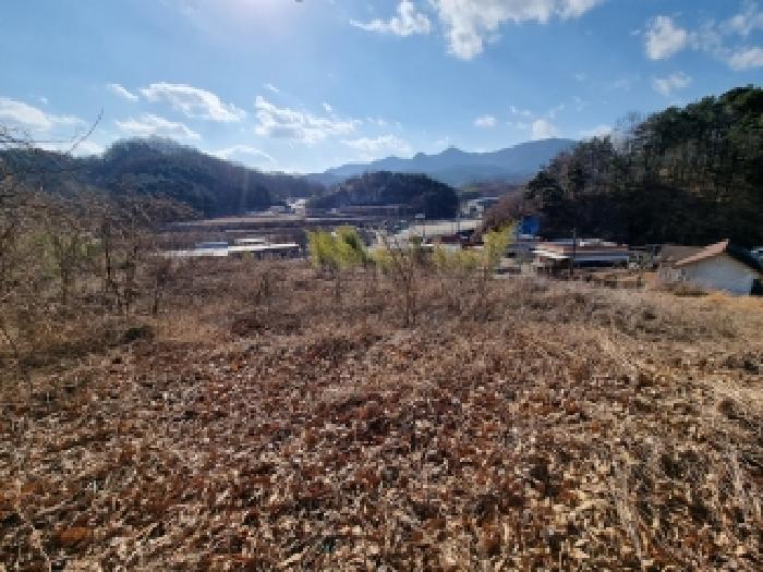 충남 금산군 금산읍 대지 경매 물건 사진