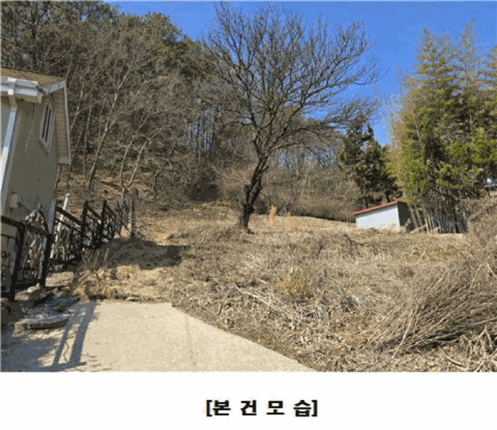 대전광역시 동구 가오동 140-20 임야 경매 물건 사진