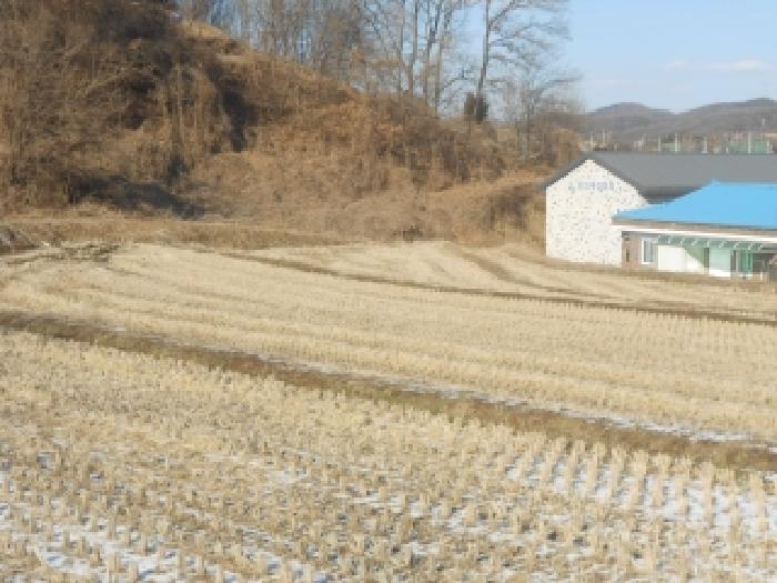세종 전의면 전답 경매 물건 사진 2 · 2026타경1
