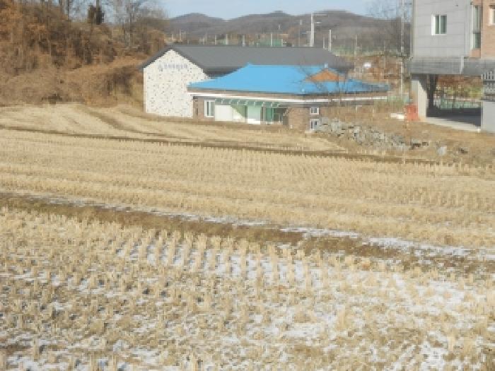세종 전의면 전답 경매 물건 사진 3 · 2026타경1