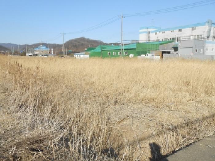 세종 조치원읍 대지,임야,전답 경매 물건 사진