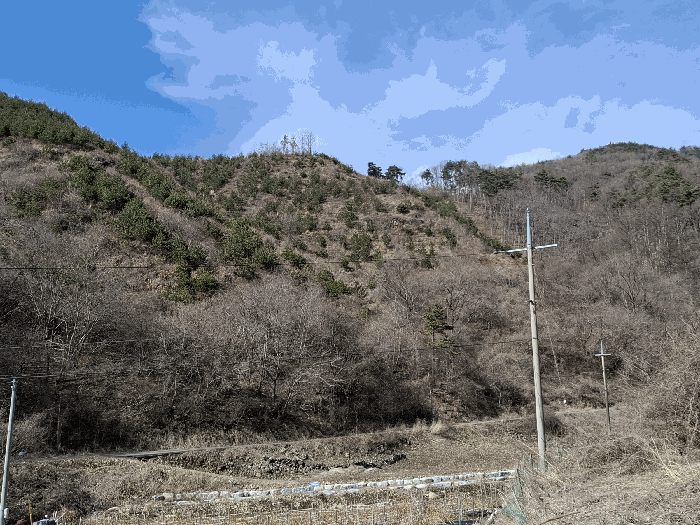 충청남도 금산군 남이면 건천리 산11 임야 경매 물건 사진