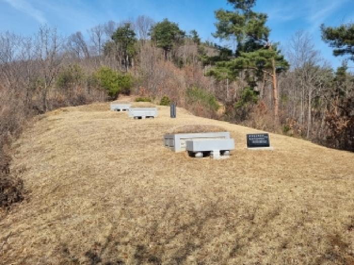 충남 금산군 남이면 임야 경매 물건 사진 5 · 2026타경120