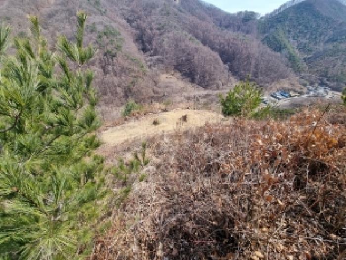 충남 금산군 남이면 임야 경매 물건 사진 6 · 2026타경120